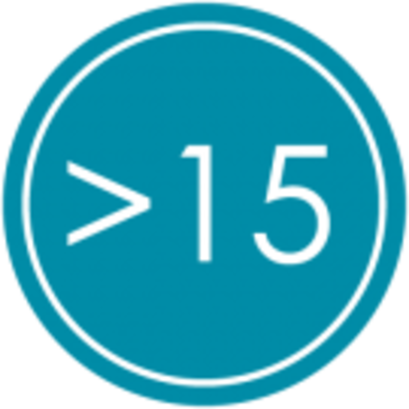 Более 15 лет на рынке