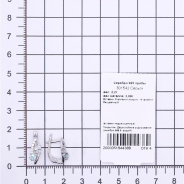 Серьги из Серебра 925 Приволжский ювелир арт. 301542-FA11FA77, Родирование.