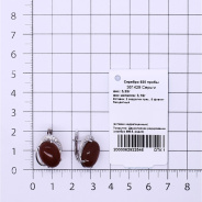 Серьги из Серебра 925 Приволжский ювелир арт. 361429-FA11SR, Родирование.