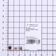 Серьги из Серебра 925 Приволжский ювелир арт. 362195-GR26, Золочение в два слоя.
