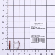 Серьги из Серебра 925 Приволжский ювелир арт. 381769-FA49, Родирование.