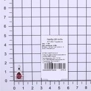 Подвеска из Серебра 925 Приволжский ювелир арт. 471355-FA11FA66, Родирование.