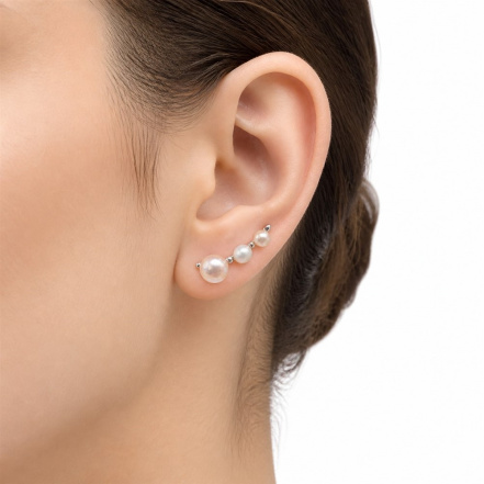 Серьги из Серебра 925 Приволжский ювелир арт. 301486-ZM07ZM46, Родирование.